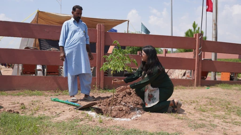 Bahria Town Plantation Drive